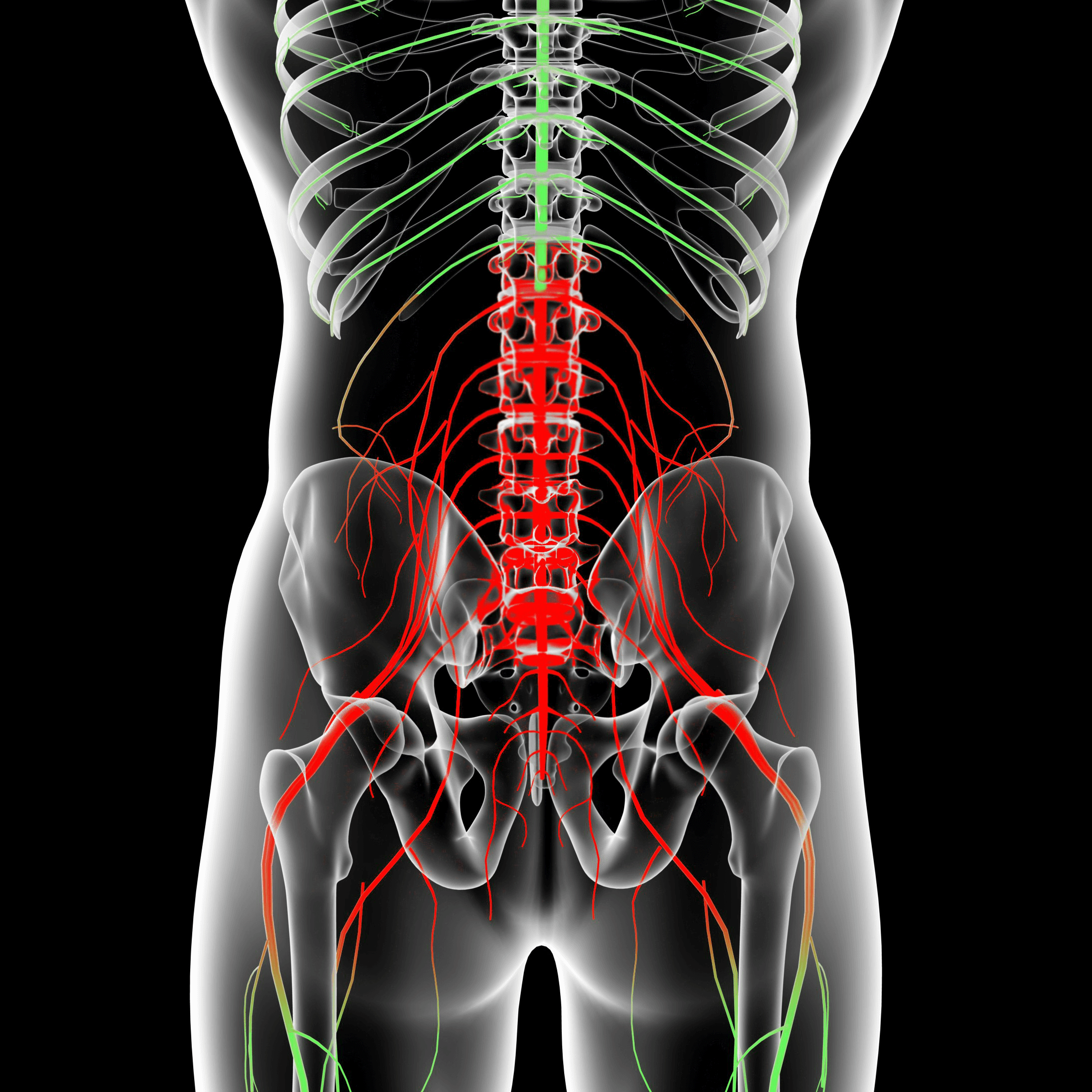 Does Sciatica Cause Nerve Pain